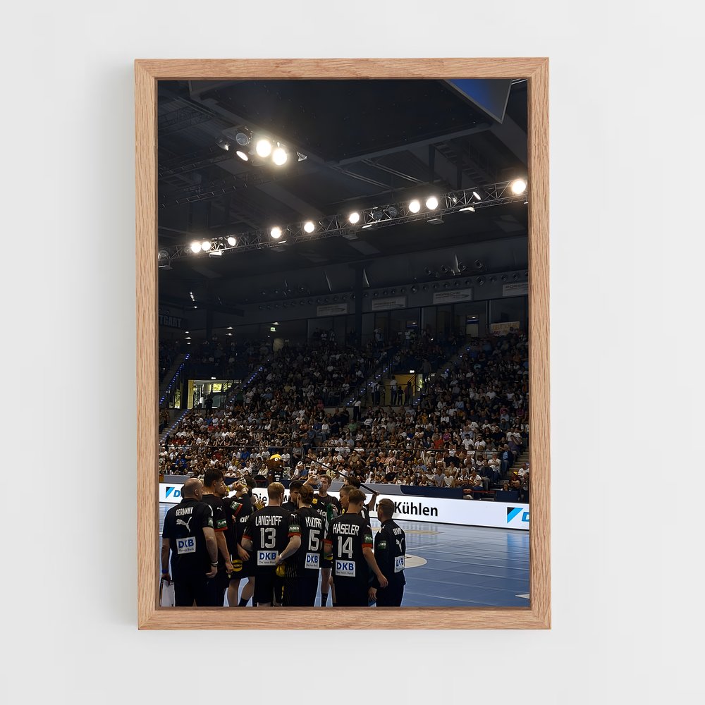 Poster Handball Terrain (vue 4)