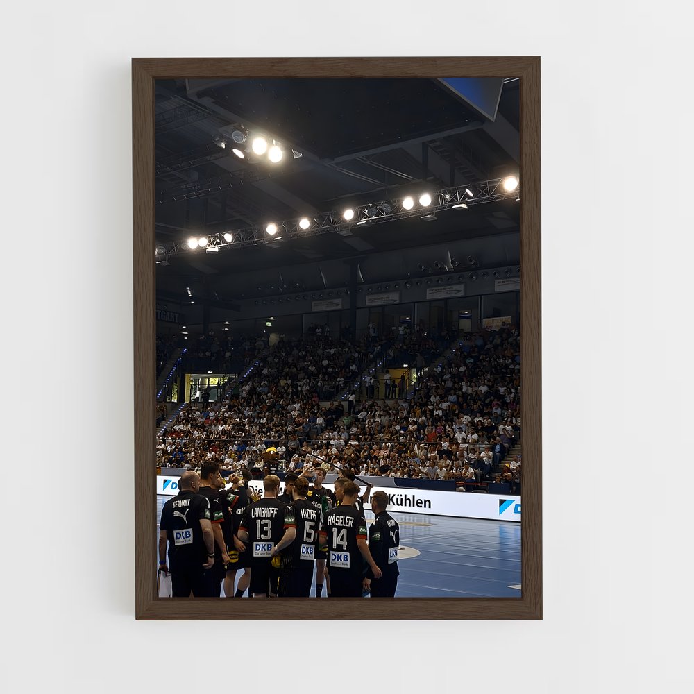 Poster Handball Terrain (vue 5)