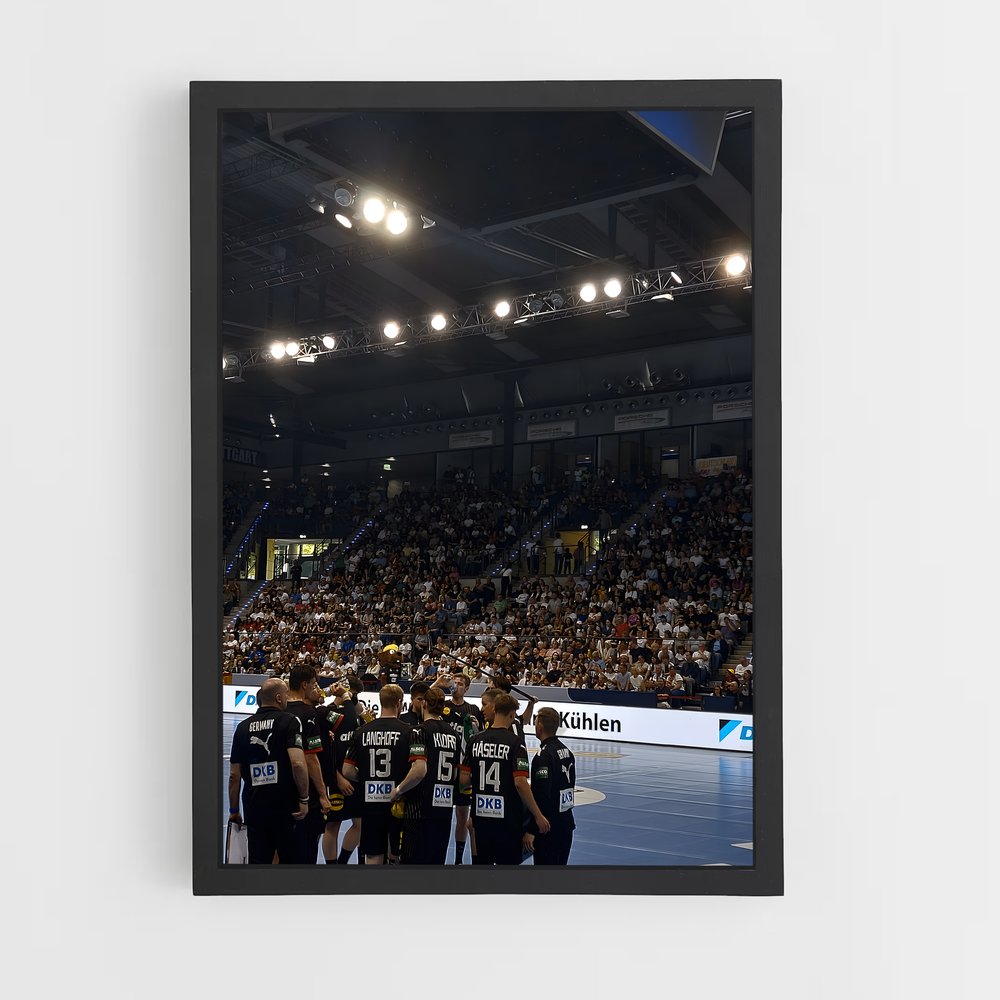 Poster Handball Terrain (vue 2)