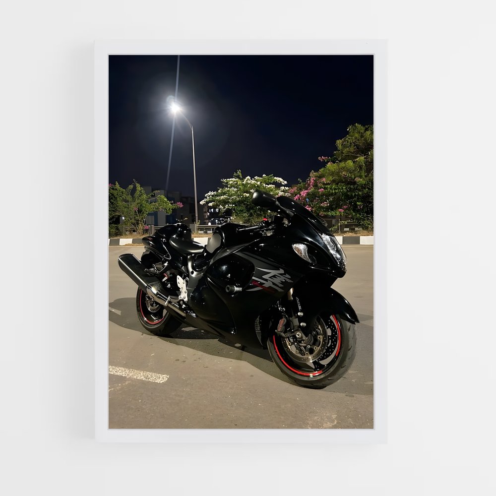 Poster splendide Hayabusa (vue 3)