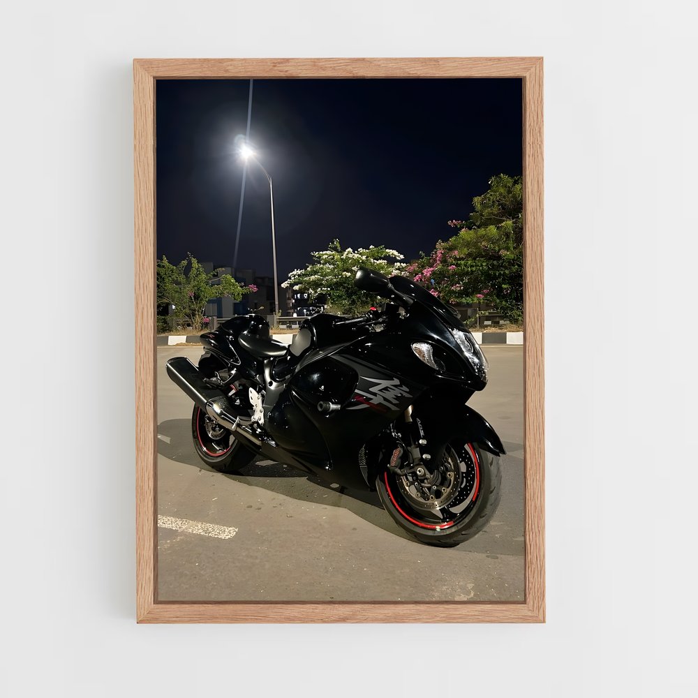 Poster splendide Hayabusa (vue 4)