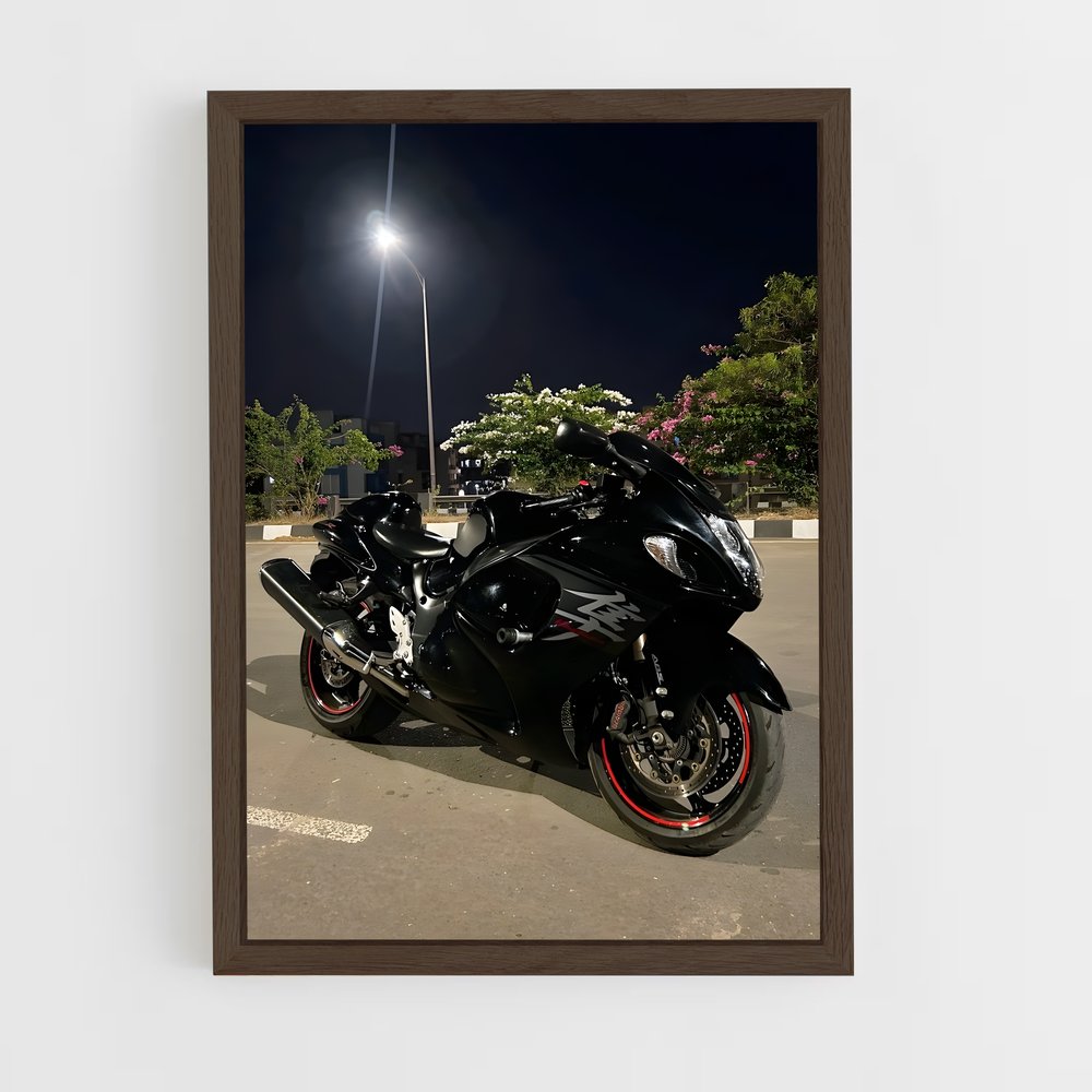 Poster splendide Hayabusa (vue 5)