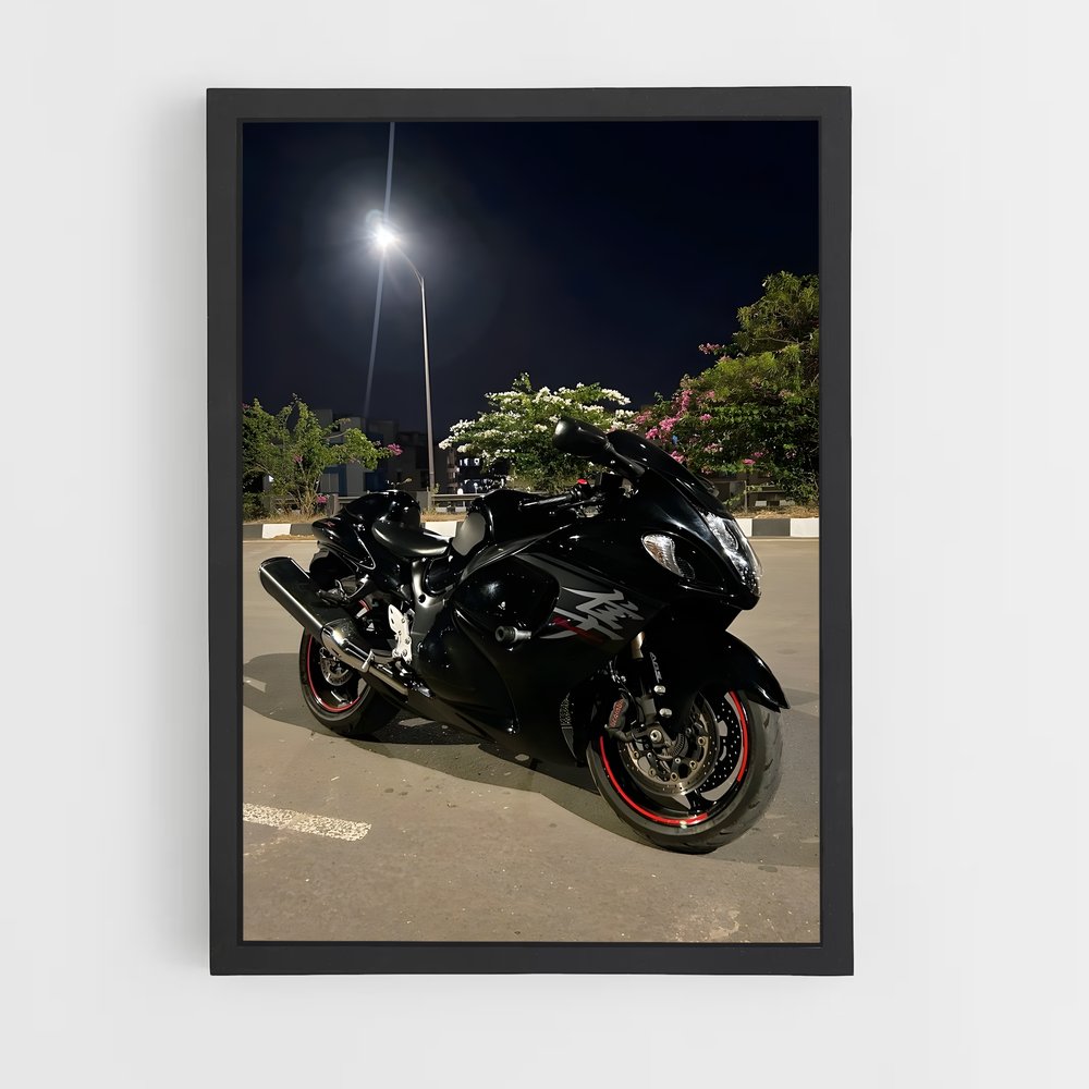 Poster splendide Hayabusa (vue 2)