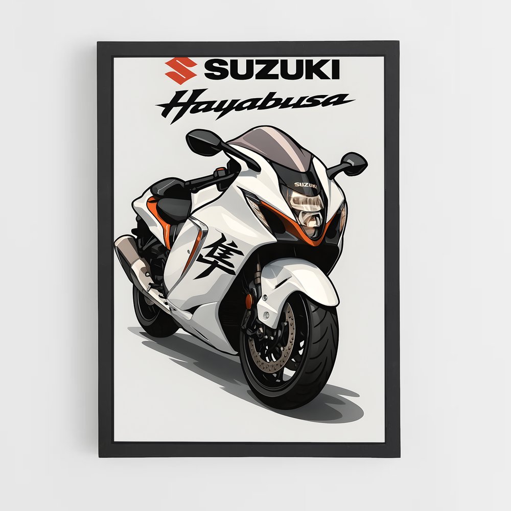 Poster Hayabusa Fury (vue 2)