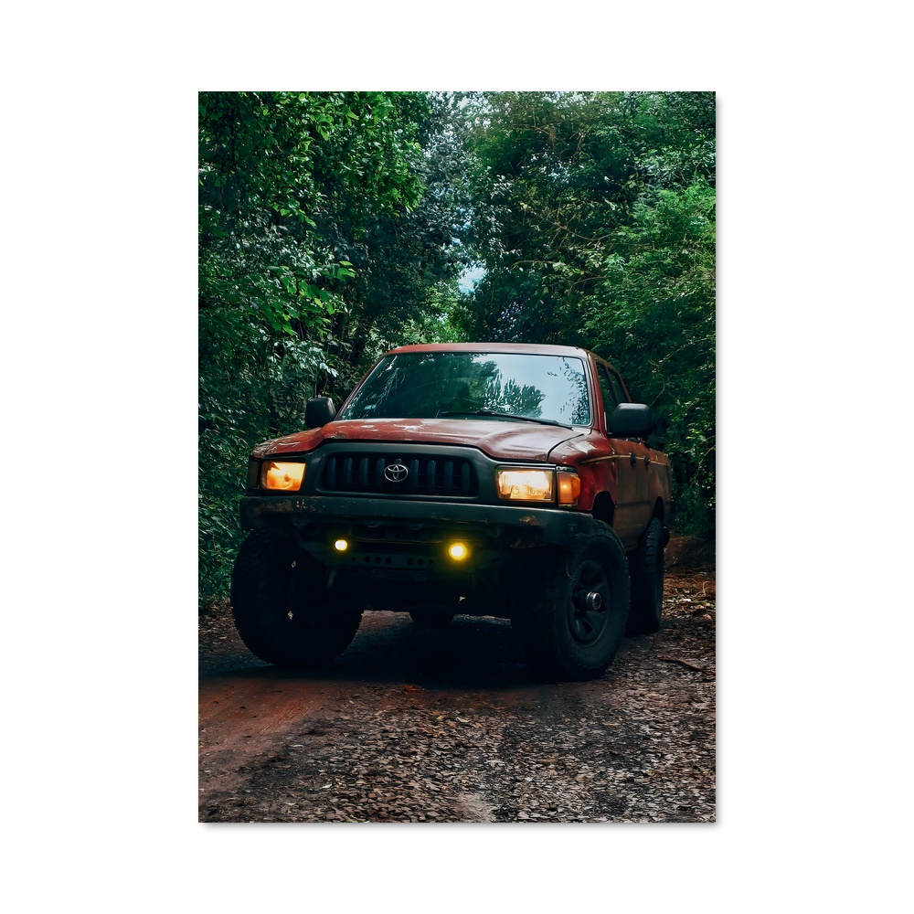 Poster Hilux magnifique