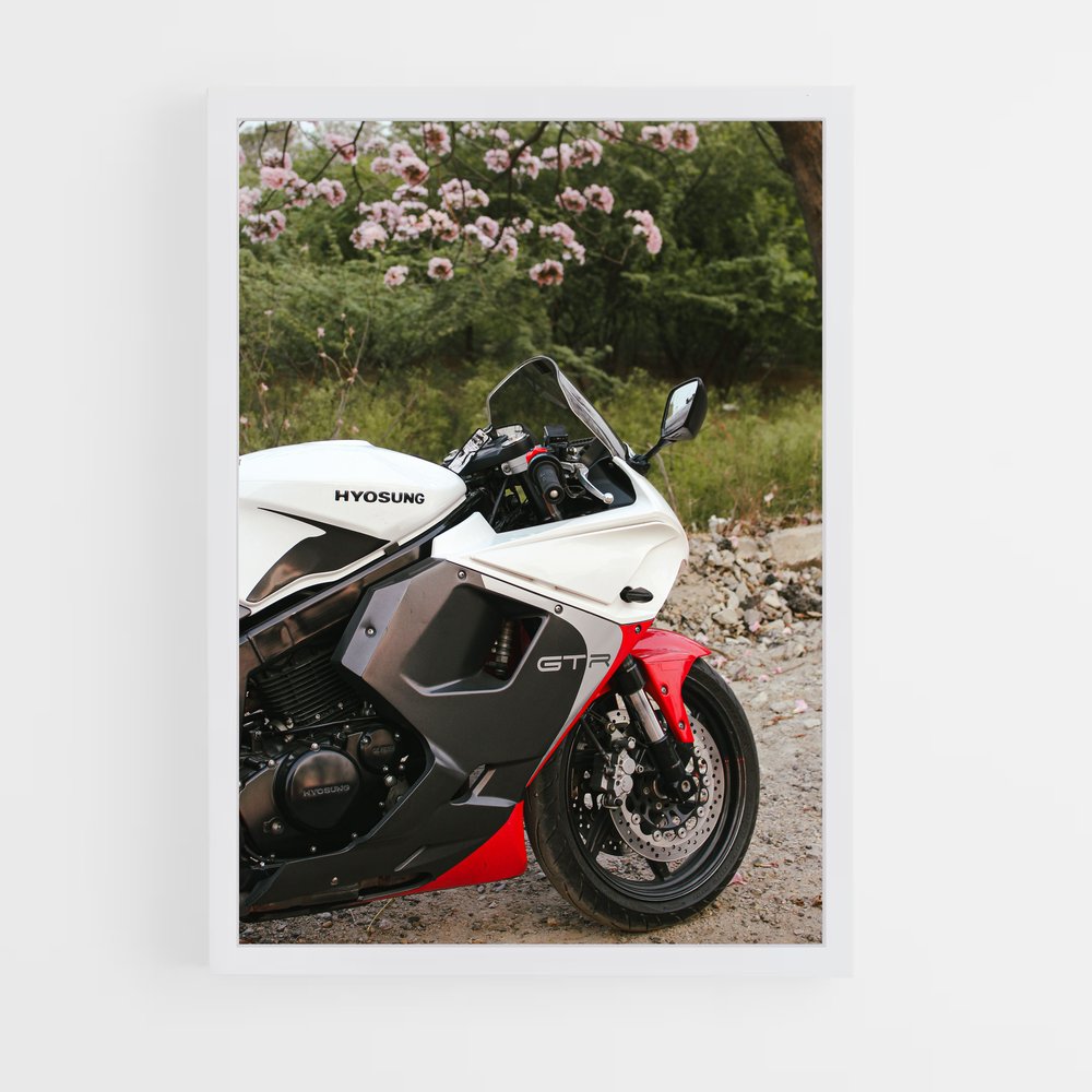 Poster Hyosung Éclatant (vue 3)