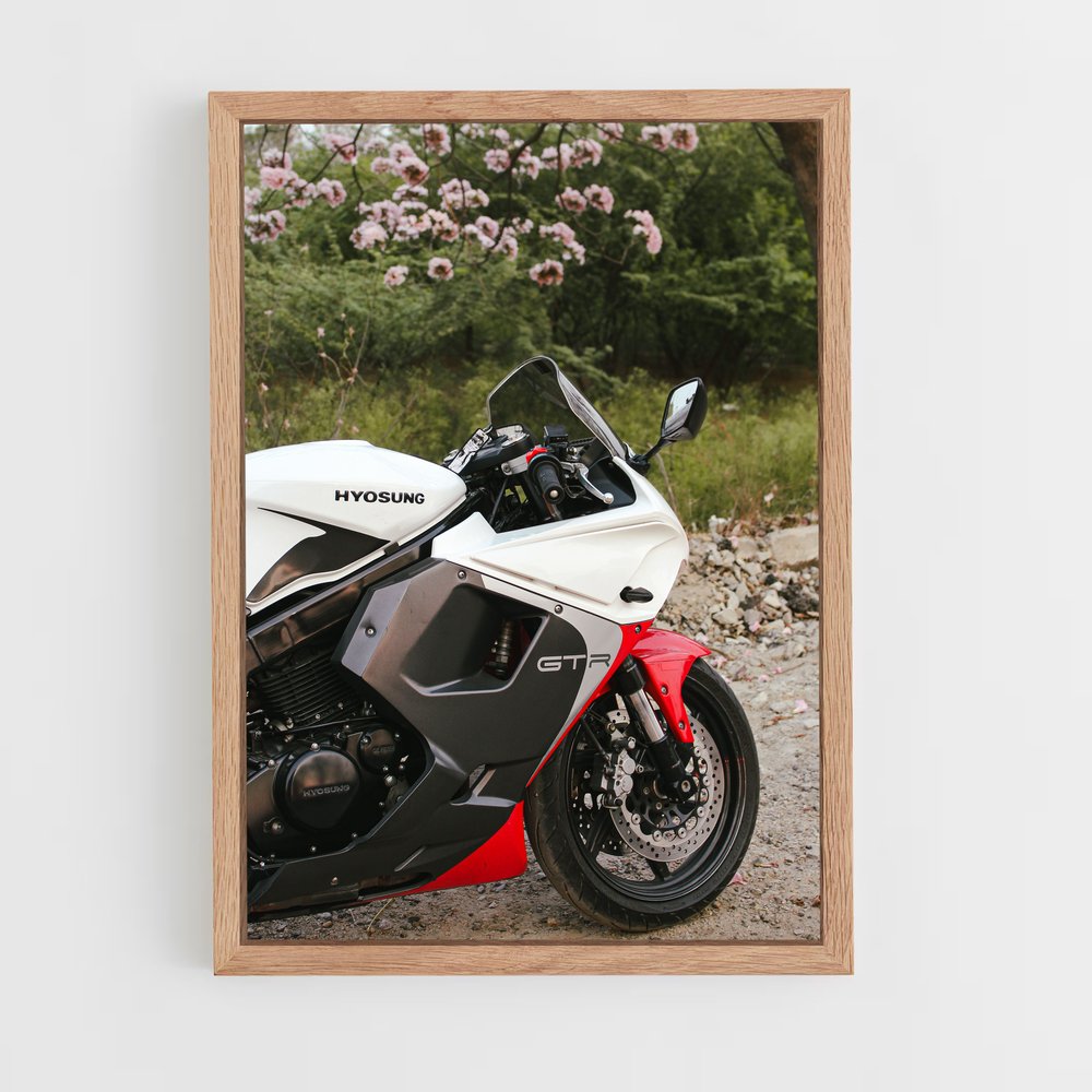 Poster Hyosung Éclatant (vue 4)