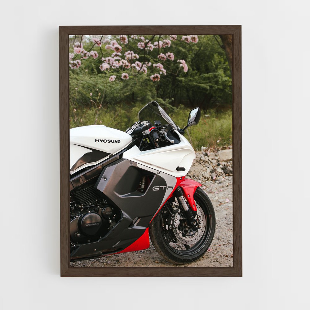 Poster Hyosung Éclatant (vue 5)