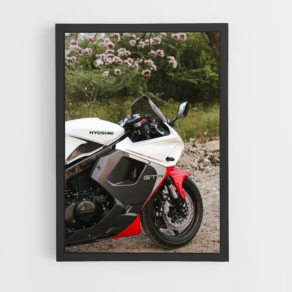 Poster Hyosung Éclatant (vue 2)