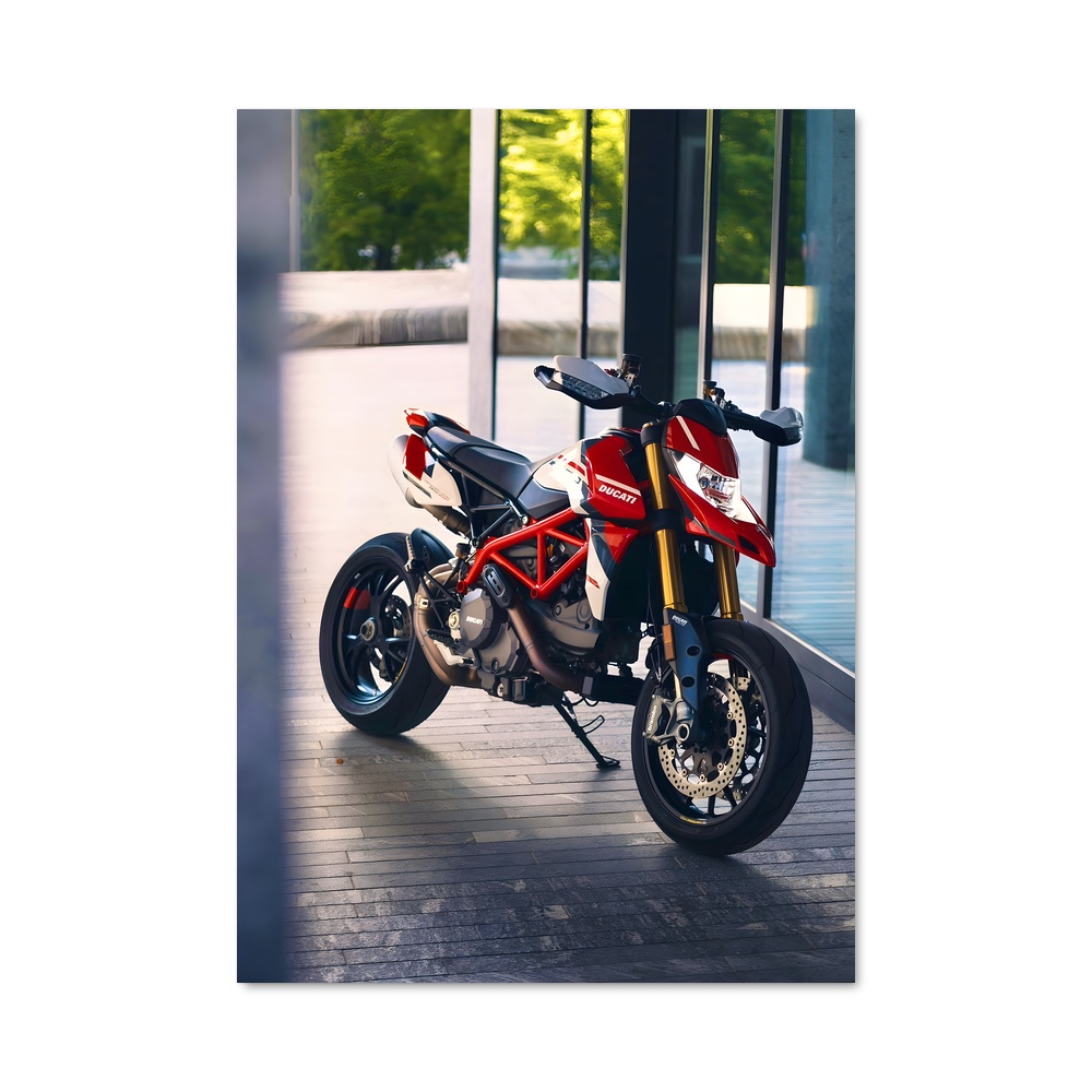 Poster Duc Project Dynamics – affiche Ducati