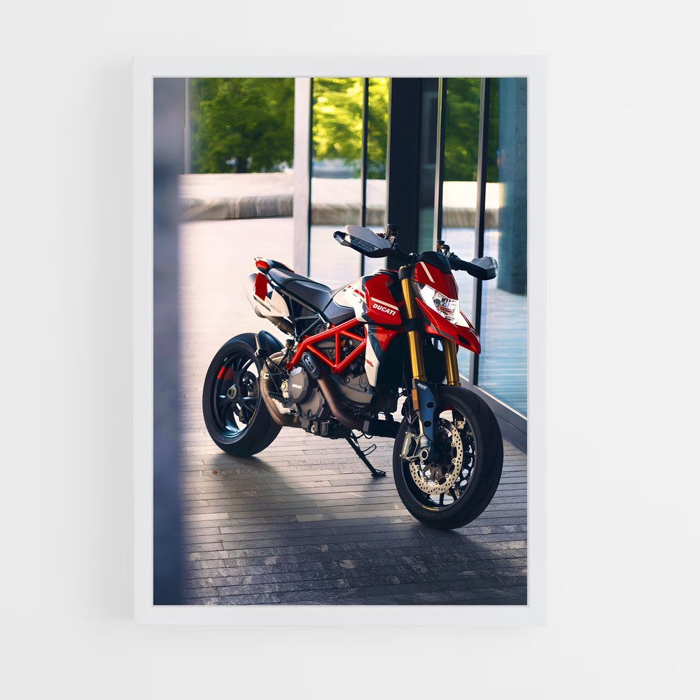 Poster Duc Project Dynamics – affiche Ducati (vue 3)