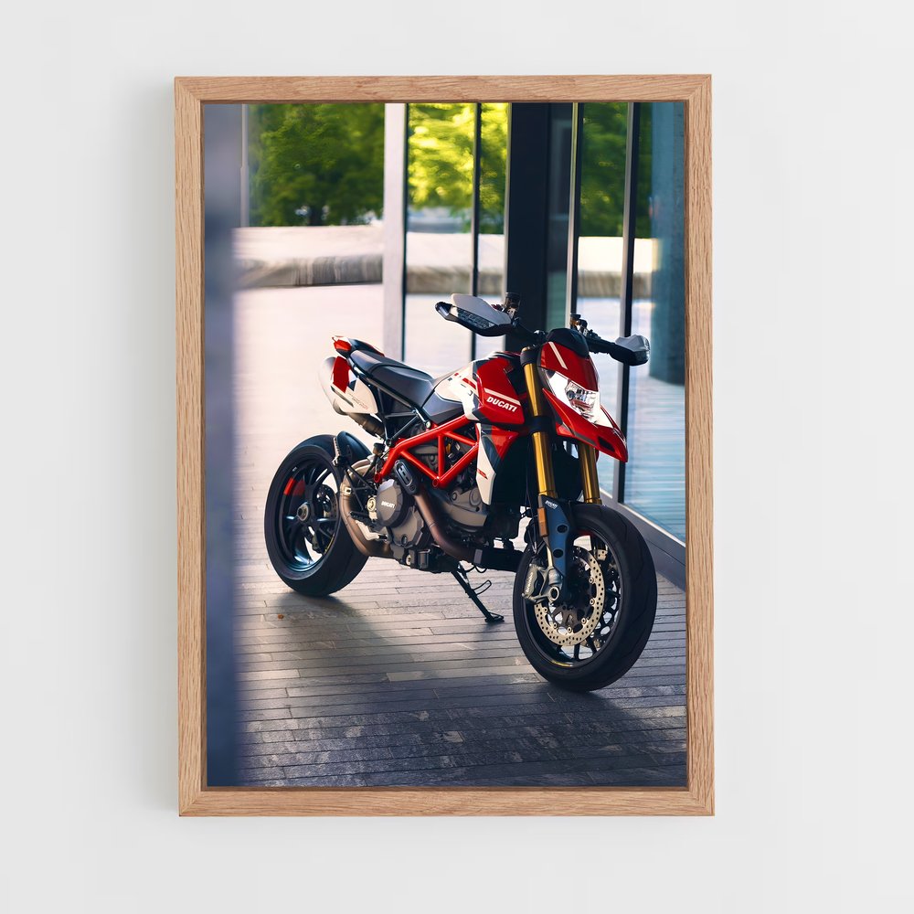 Poster Duc Project Dynamics – affiche Ducati (vue 4)