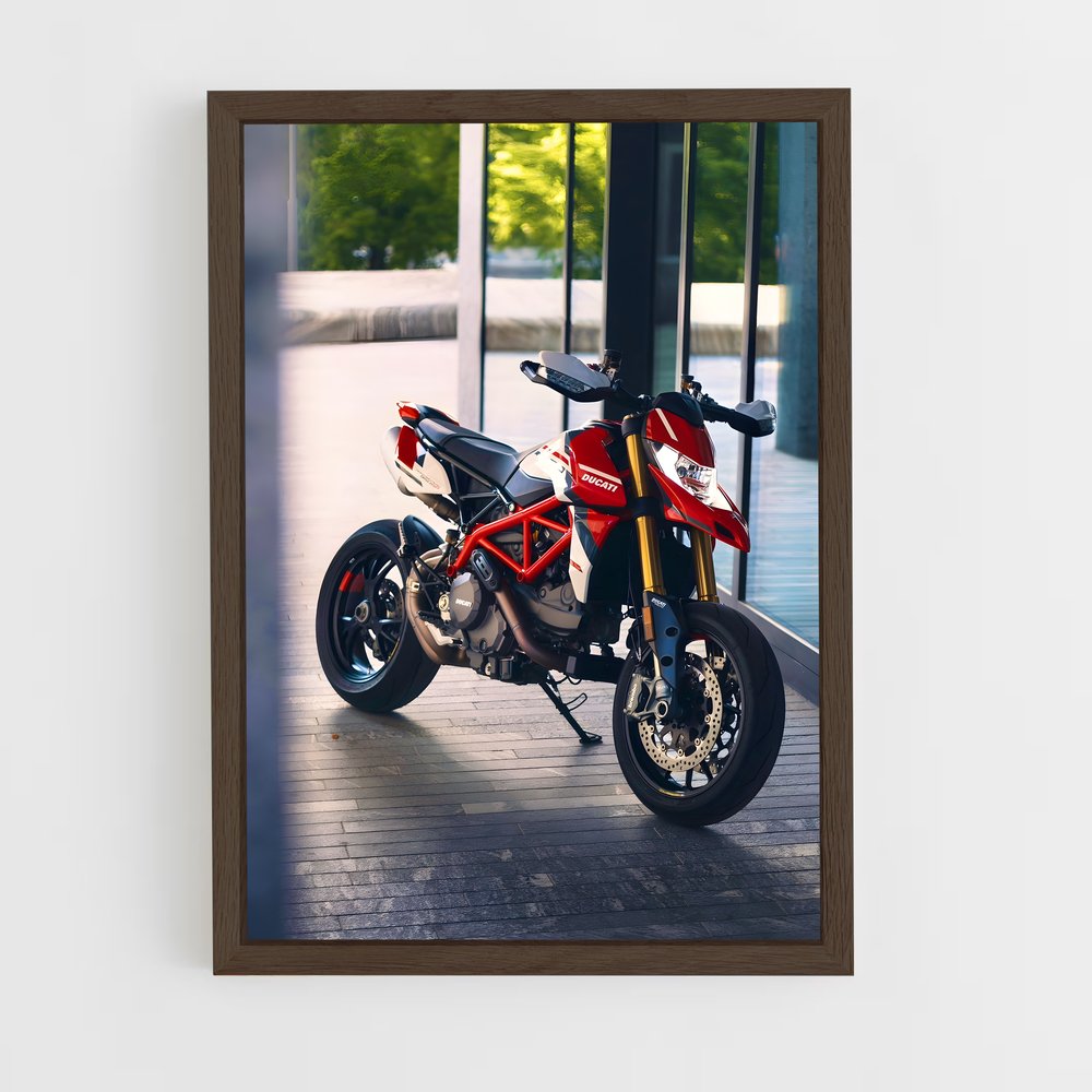 Poster Duc Project Dynamics – affiche Ducati (vue 5)