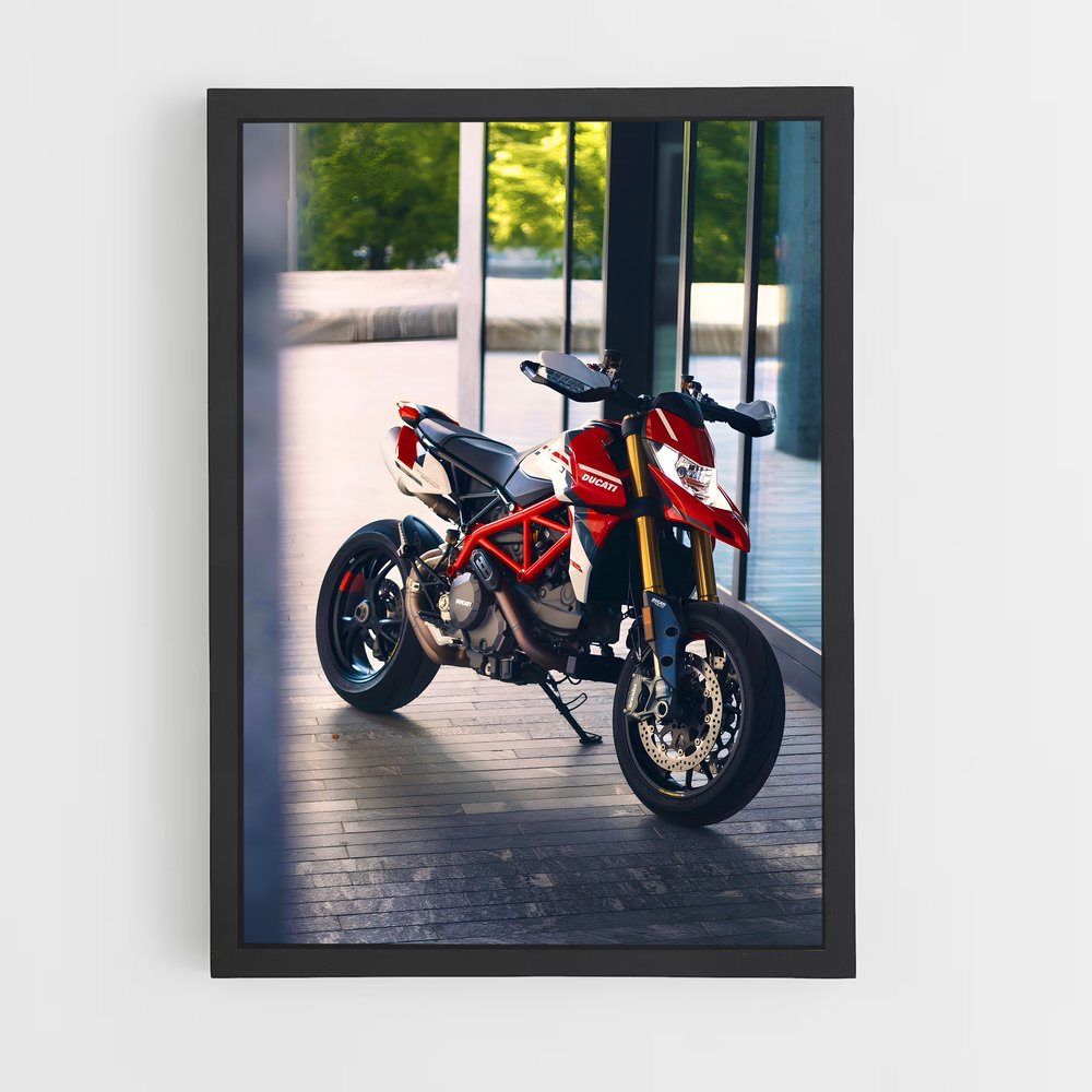 Poster Duc Project Dynamics – affiche Ducati (vue 2)