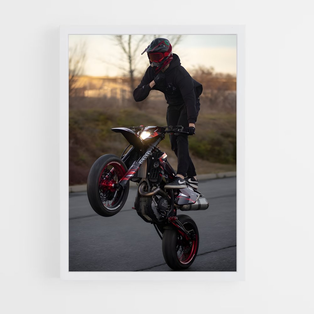 Poster Tricks de Maître – affiche Ducati (vue 3)