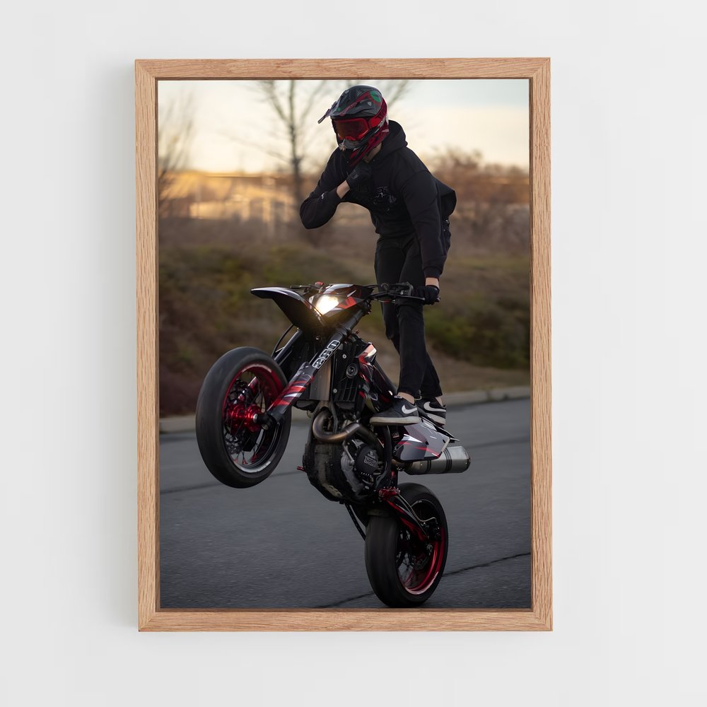 Poster Tricks de Maître – affiche Ducati (vue 4)