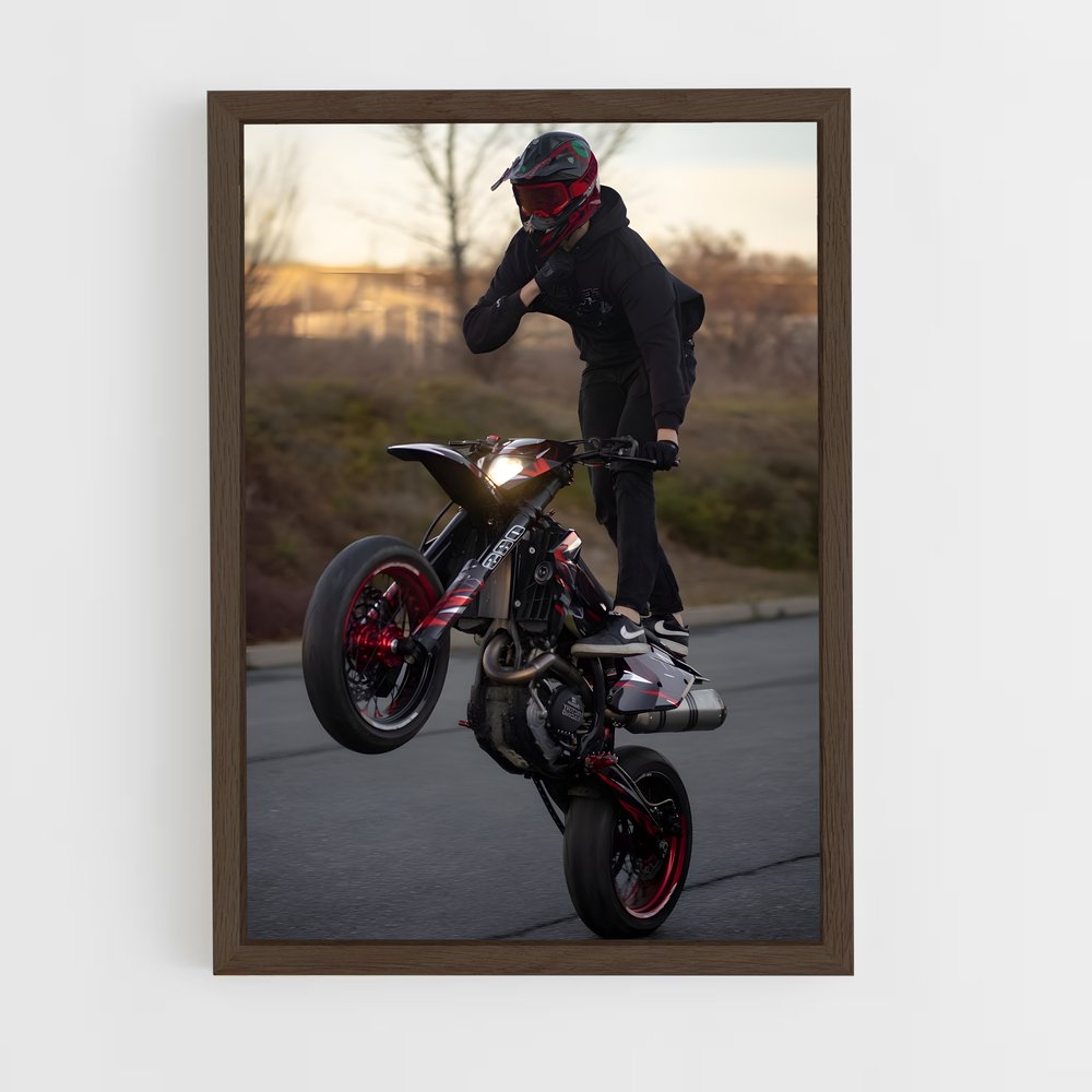 Poster Tricks de Maître – affiche Ducati (vue 5)