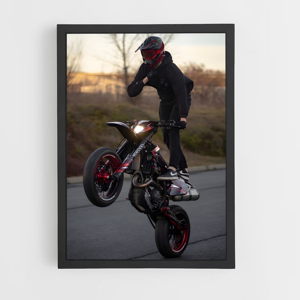 Poster Tricks de Maître – affiche Ducati (vue 2)