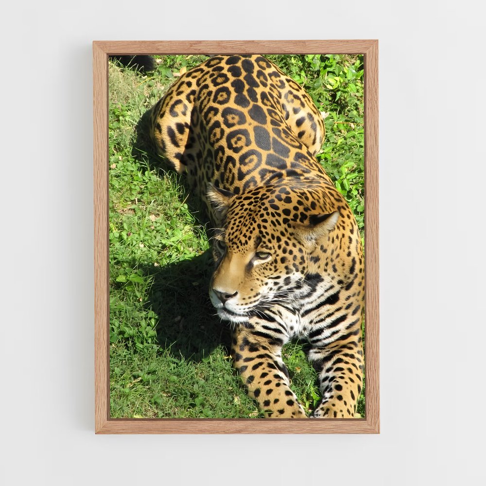 Poster Jaguar dans l'Herbe (vue 4)