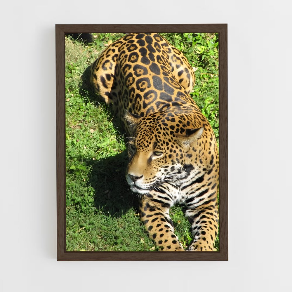 Poster Jaguar dans l'Herbe (vue 5)