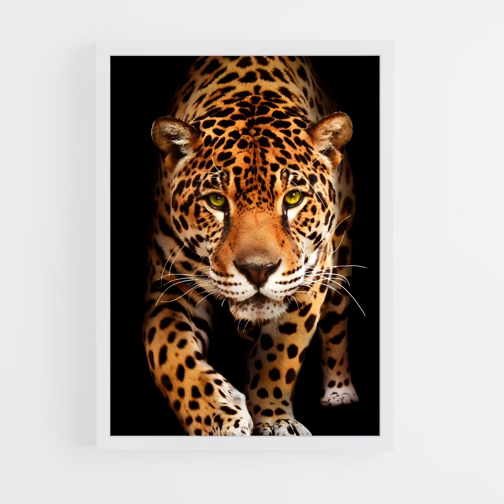 Poster Jaguar Majestueux (vue 3)