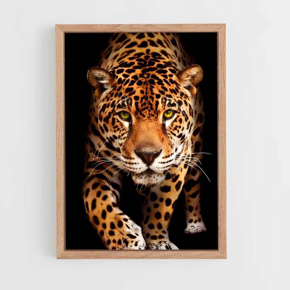 Poster Jaguar Majestueux (vue 4)