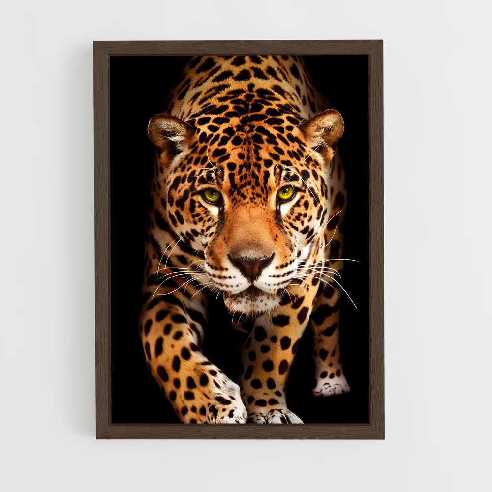 Poster Jaguar Majestueux (vue 5)