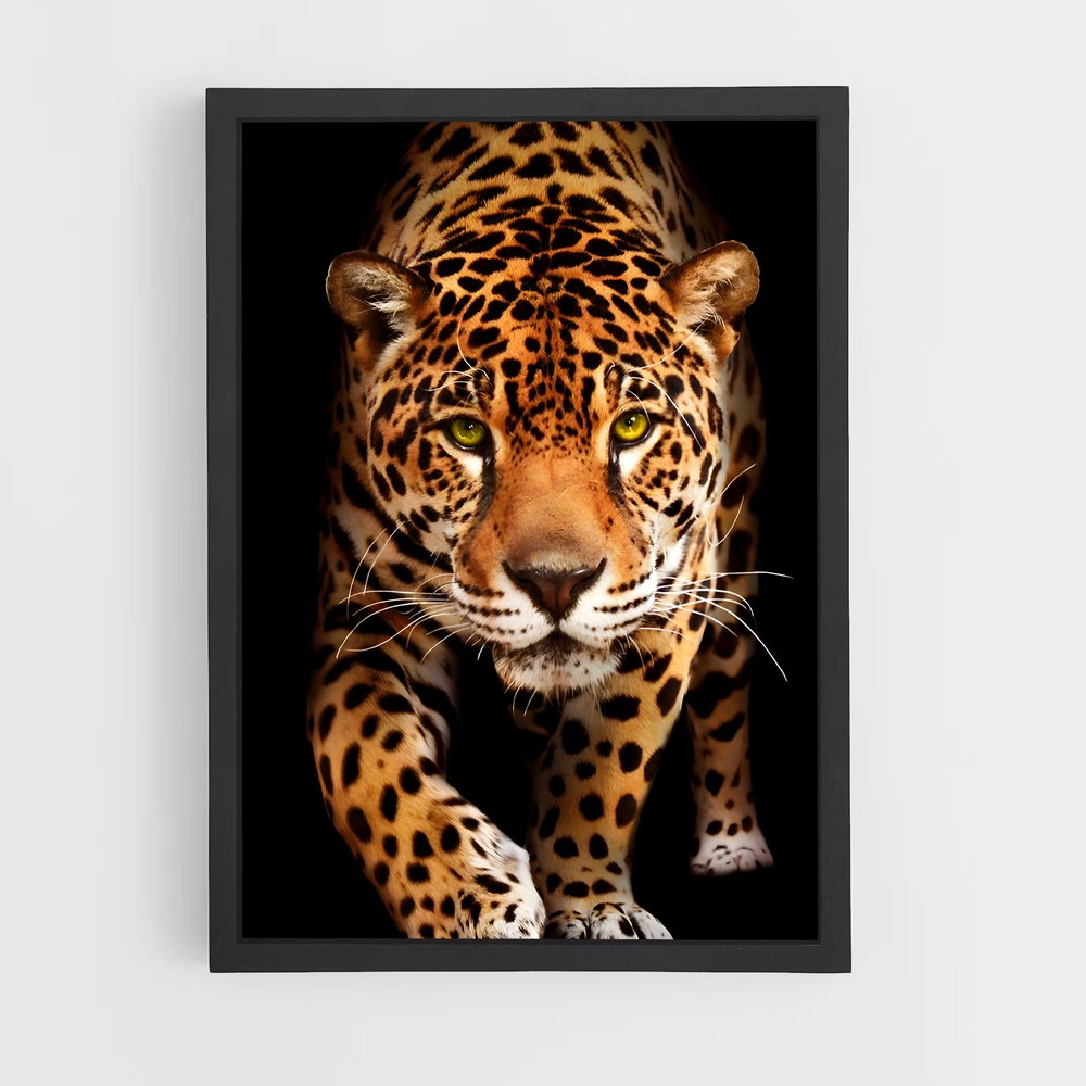 Poster Jaguar Majestueux (vue 2)