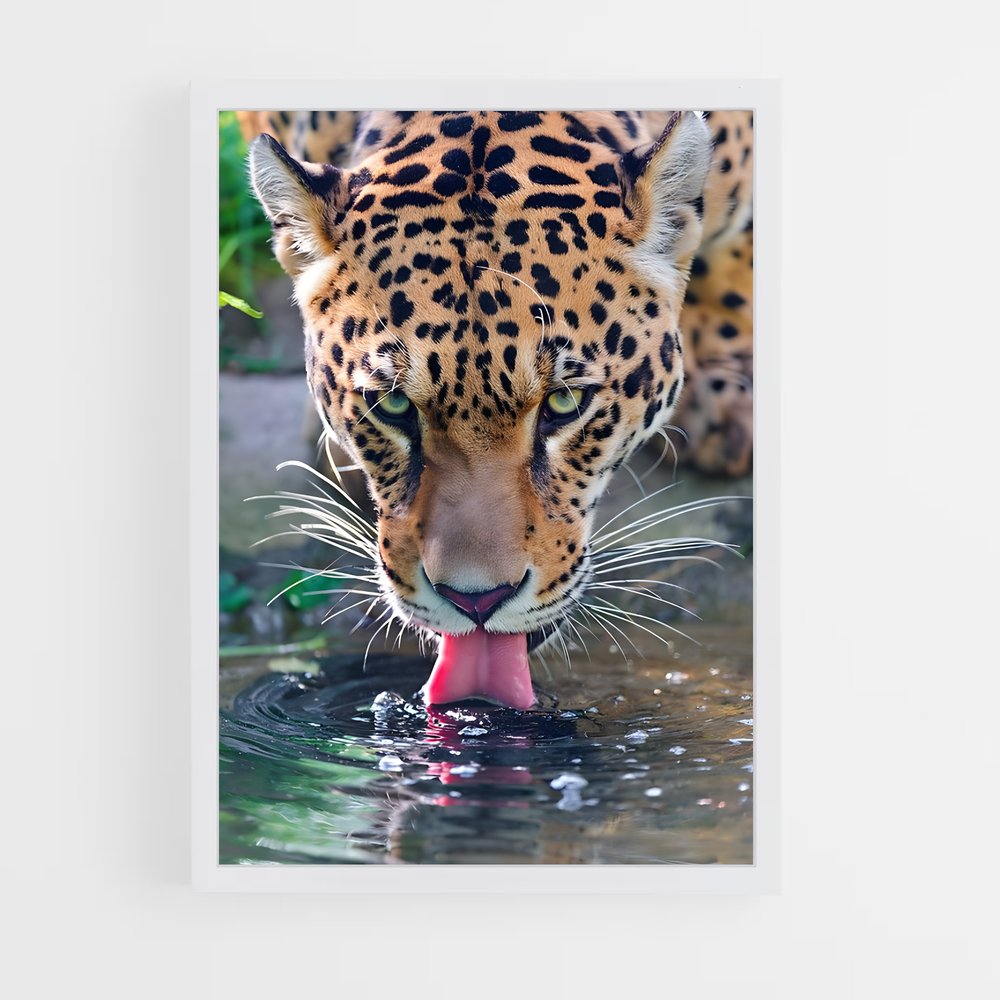 Poster Jaguar au Ruisseau (vue 3)