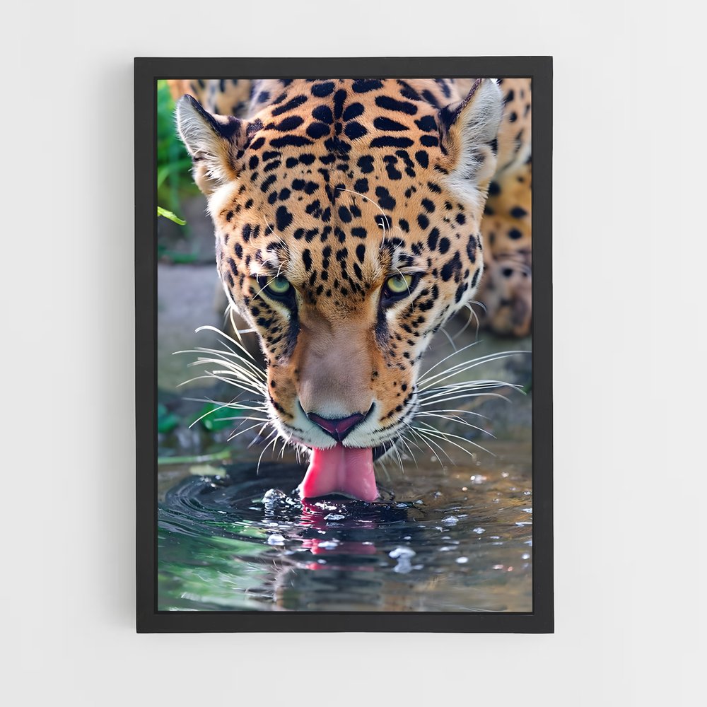 Poster Jaguar au Ruisseau (vue 2)