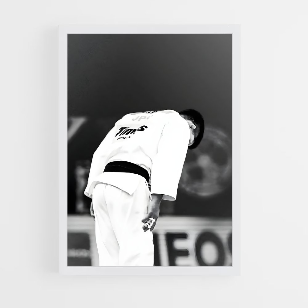 Poster Judo sur le Diamant (vue 3)