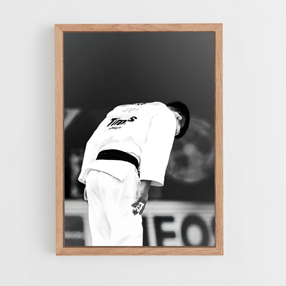 Poster Judo sur le Diamant (vue 4)