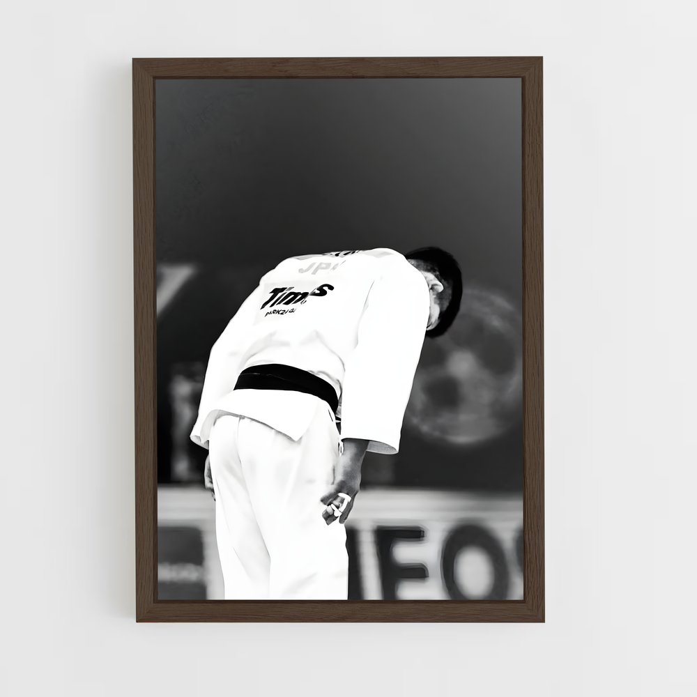 Poster Judo sur le Diamant (vue 5)