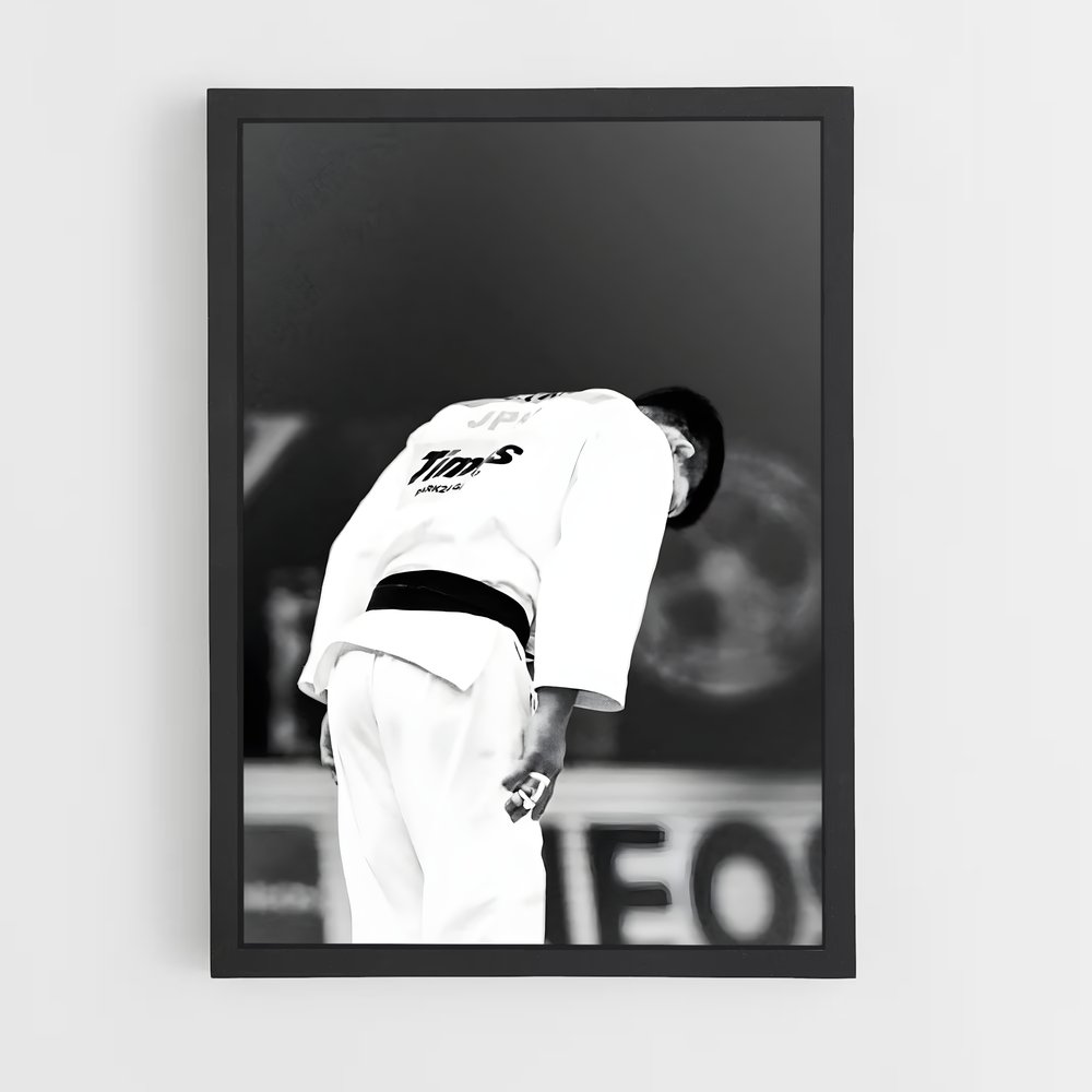Poster Judo sur le Diamant (vue 2)