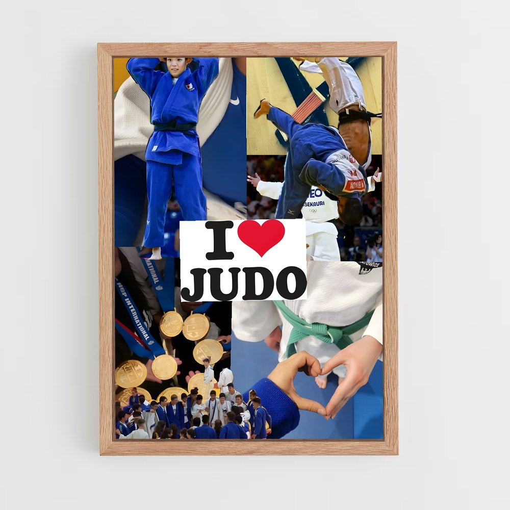 Poster Judo force (vue 4)