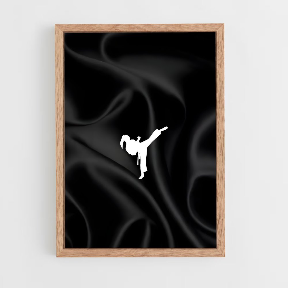 Poster Silence du Karaté (vue 4)