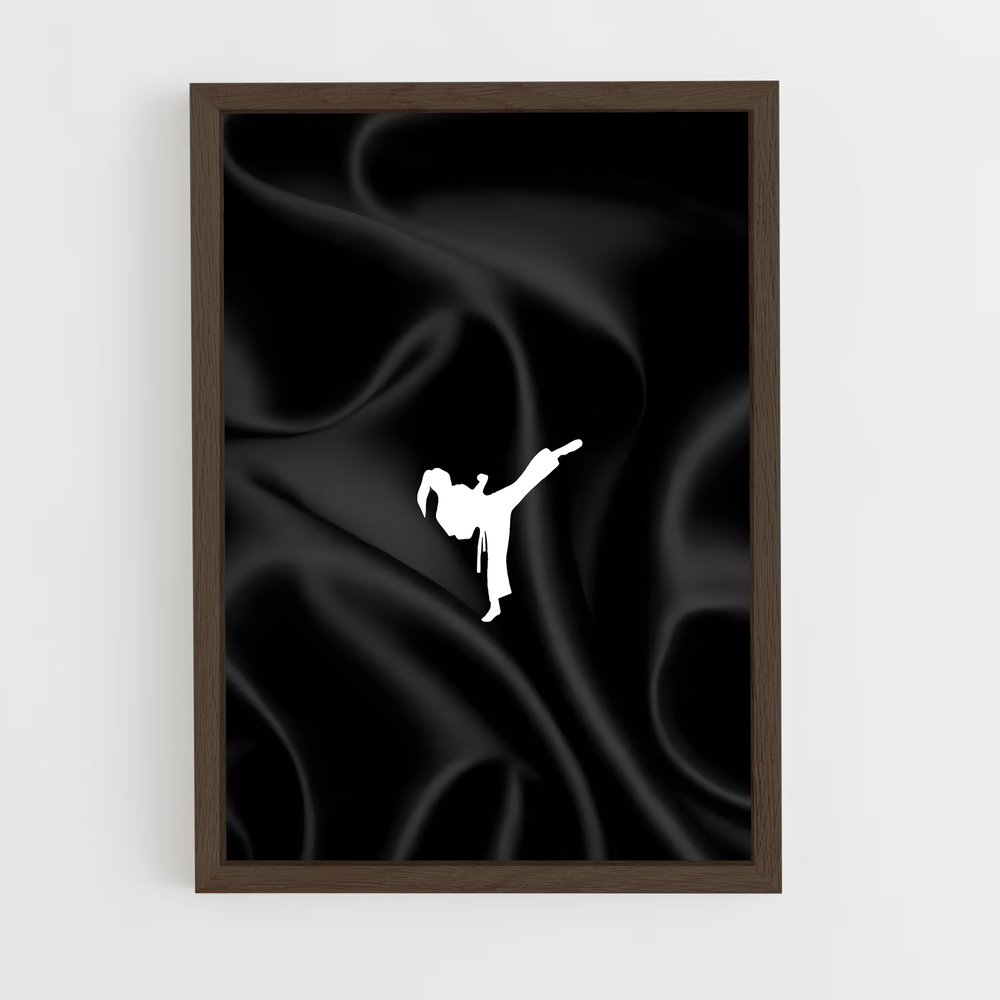 Poster Silence du Karaté (vue 5)