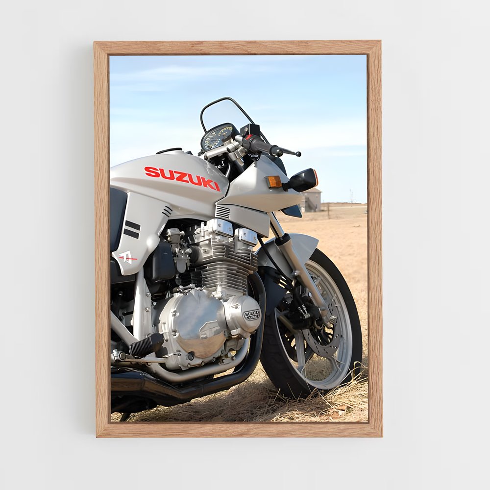 Poster Road Trip Rhapsody (vue 4)