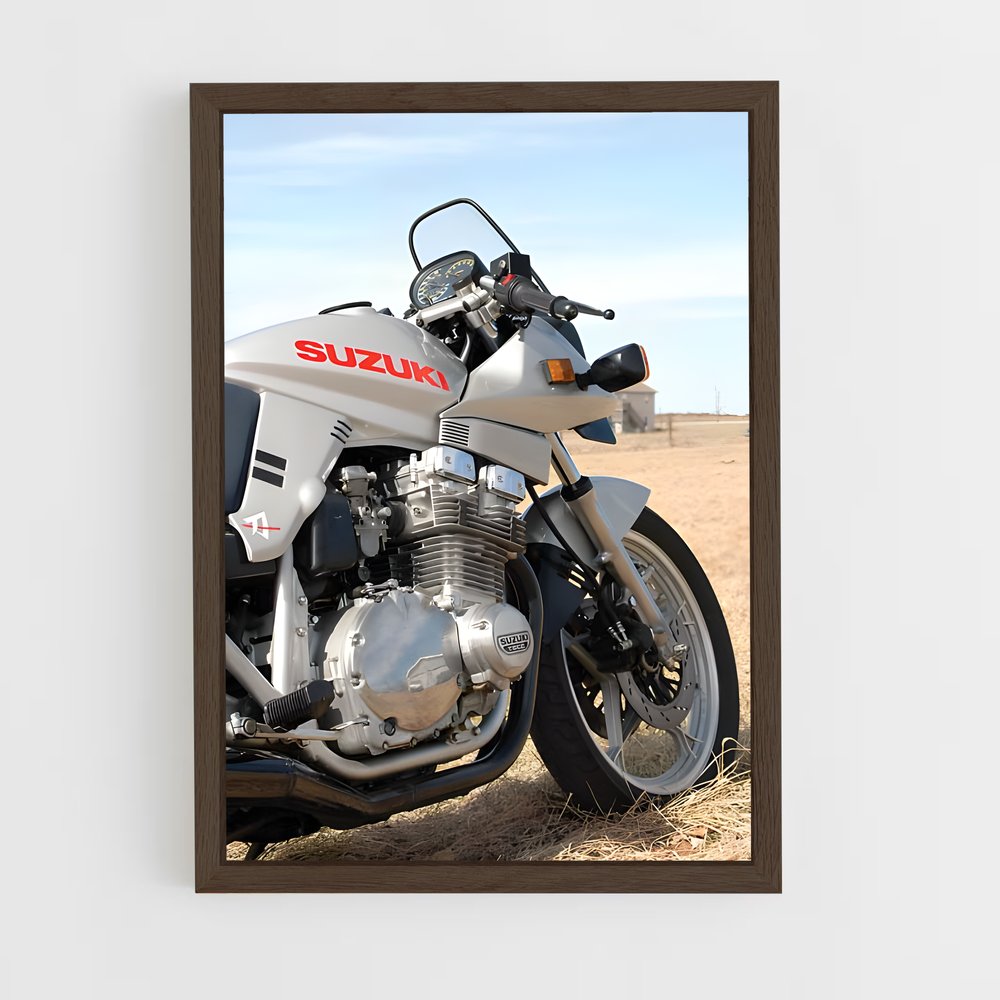 Poster Road Trip Rhapsody (vue 5)