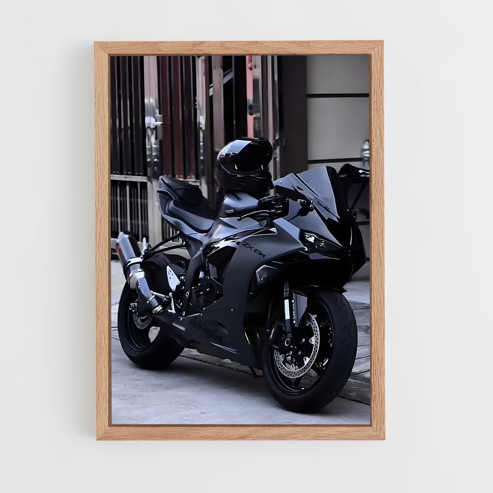 Poster Kawasaki Street Ride (vue 4)