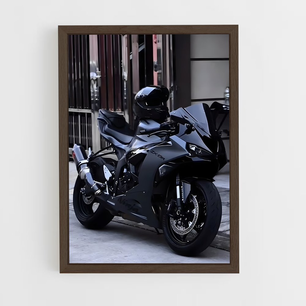Poster Kawasaki Street Ride (vue 5)
