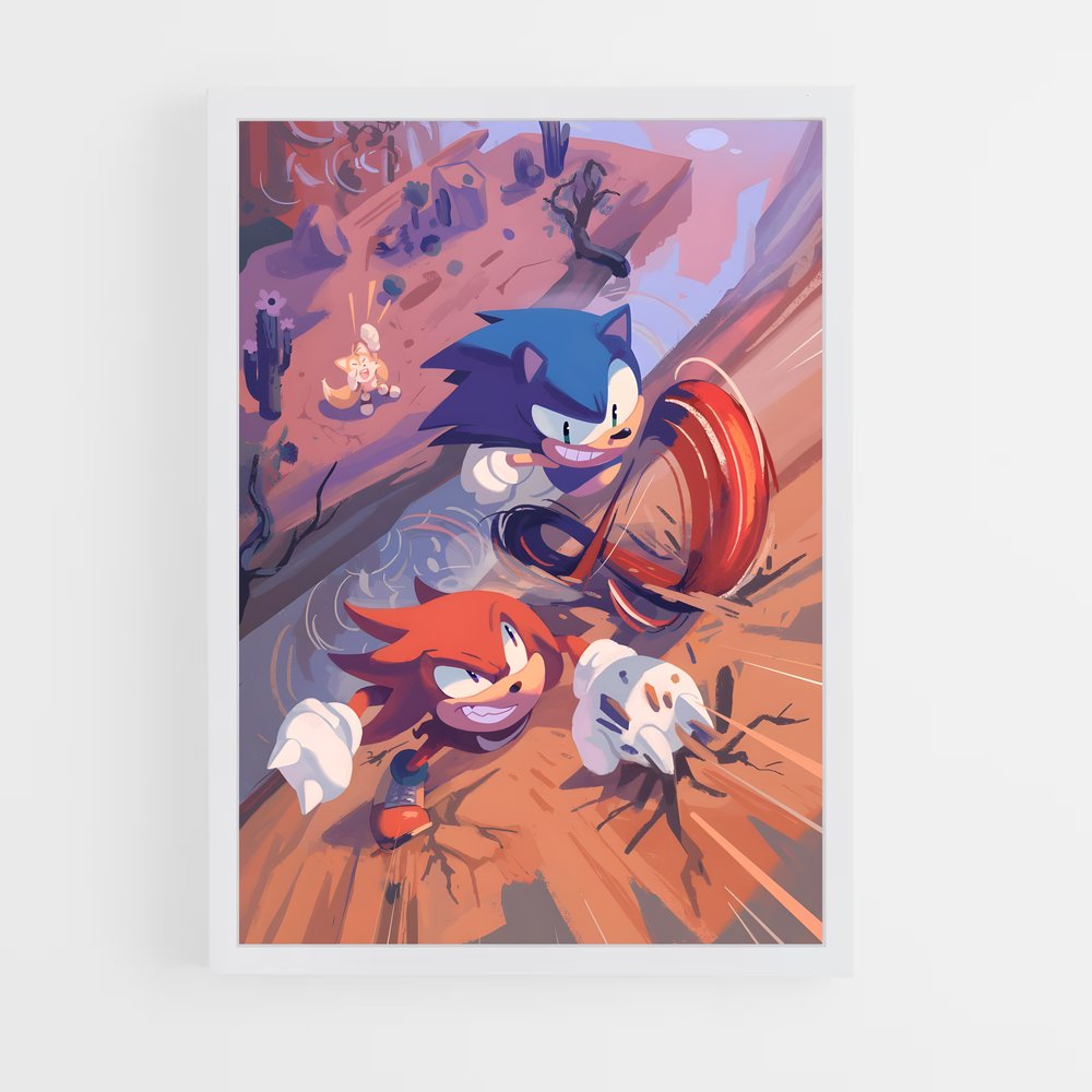 Poster Sonic & Tails Adventure (vue 3)