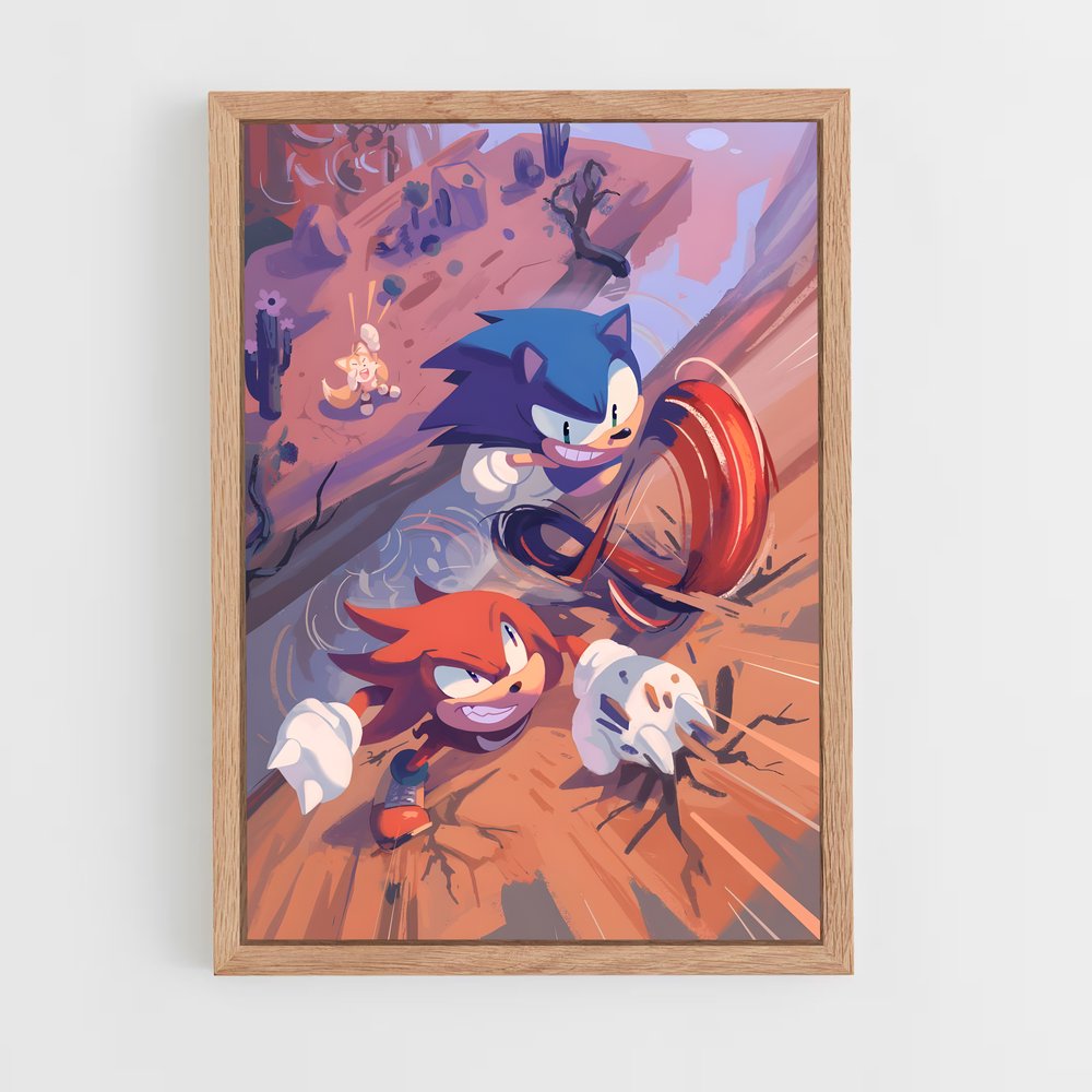 Poster Sonic & Tails Adventure (vue 4)