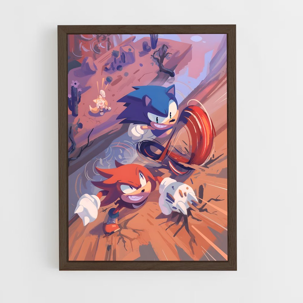 Poster Sonic & Tails Adventure (vue 5)