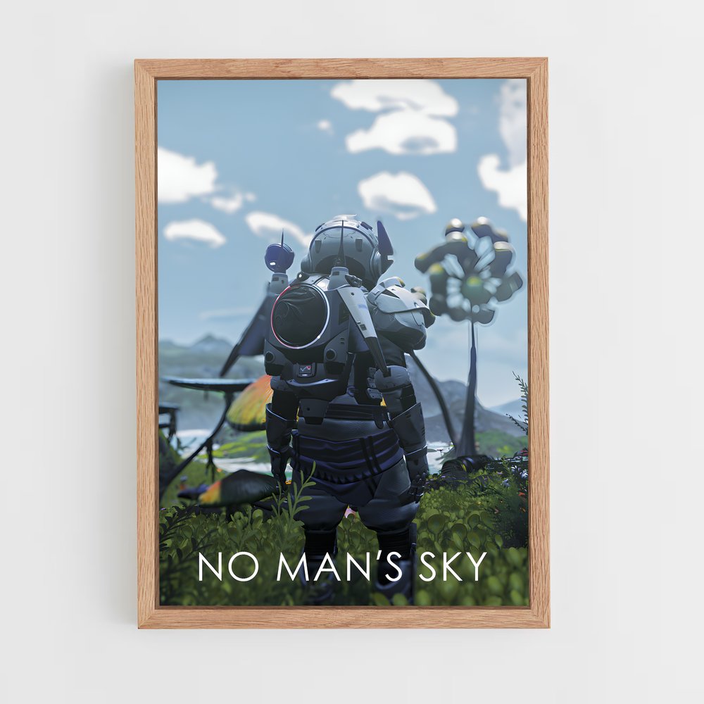 Poster L'Élégance du Champ – affiche No man sky (vue 4)
