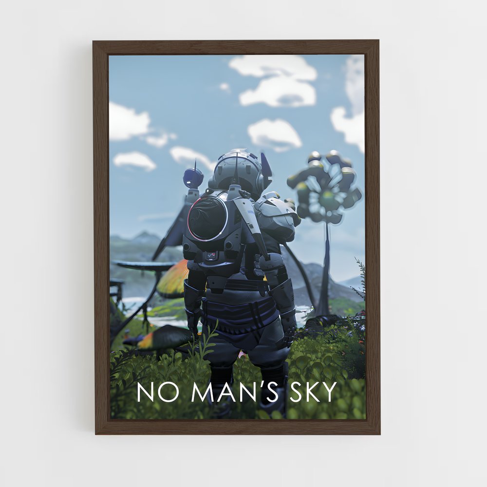Poster L'Élégance du Champ – affiche No man sky (vue 5)