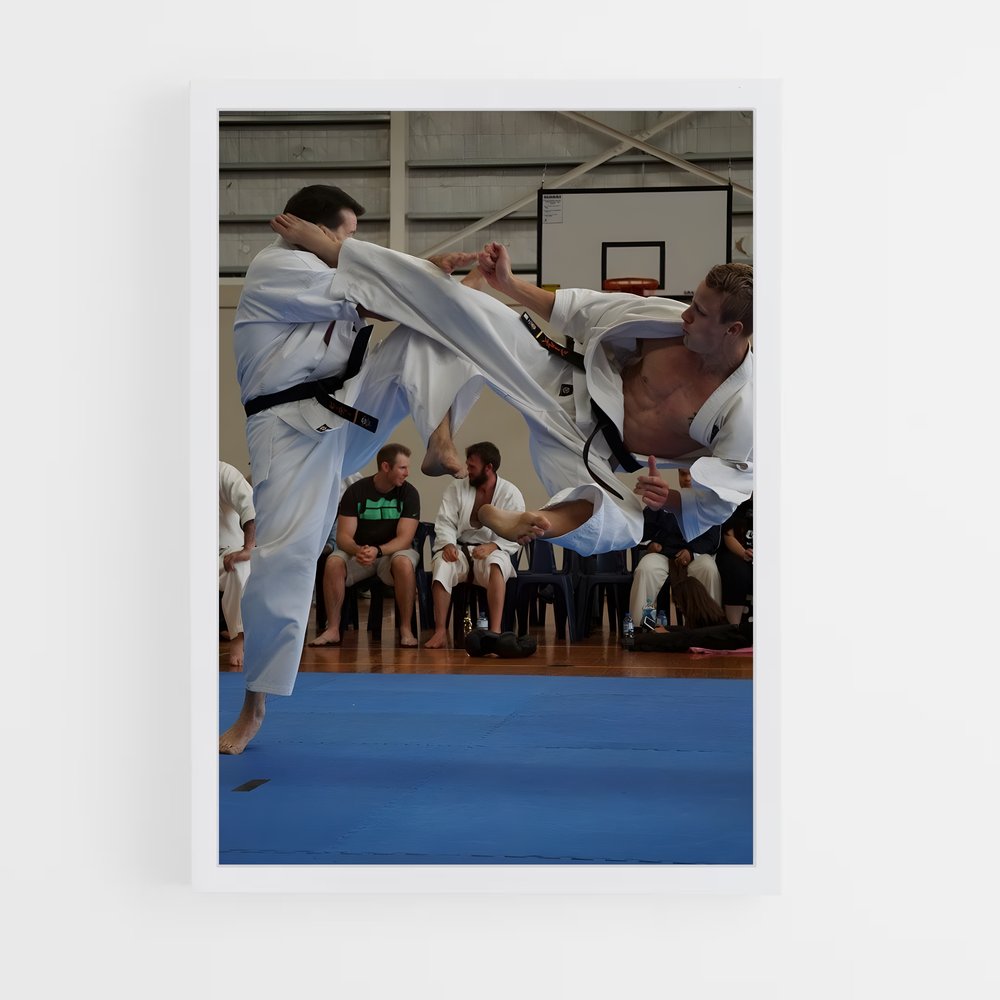 Poster Maître du Kyokushin (vue 3)