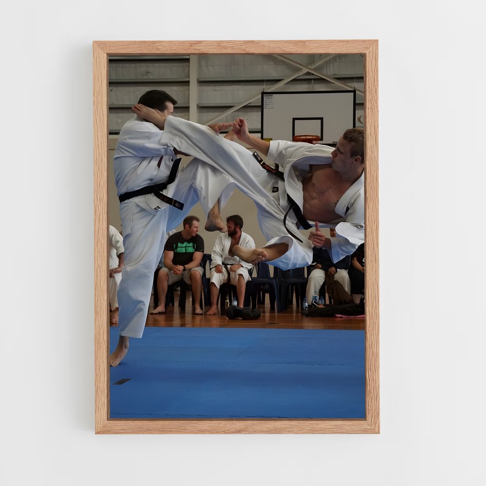 Poster Maître du Kyokushin (vue 4)