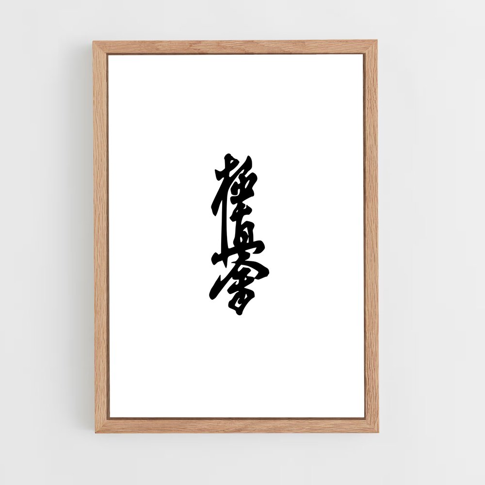 Poster Kyokushin Découvrez (vue 4)