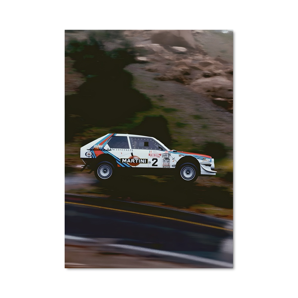Poster Rallye Montagnard